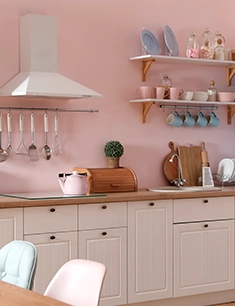 renovar electrodomÃÃÂ©sticos en la cocina