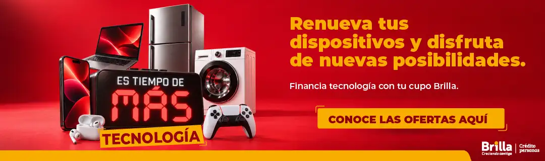 LA CASA DEL REMATE