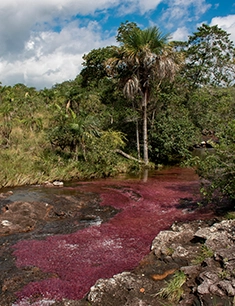 ecoturismo: SerranÃÃÂ­a de la Macarena