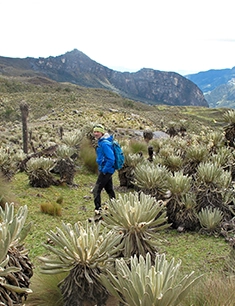 ecoturismo: parque nacional el Cocuy