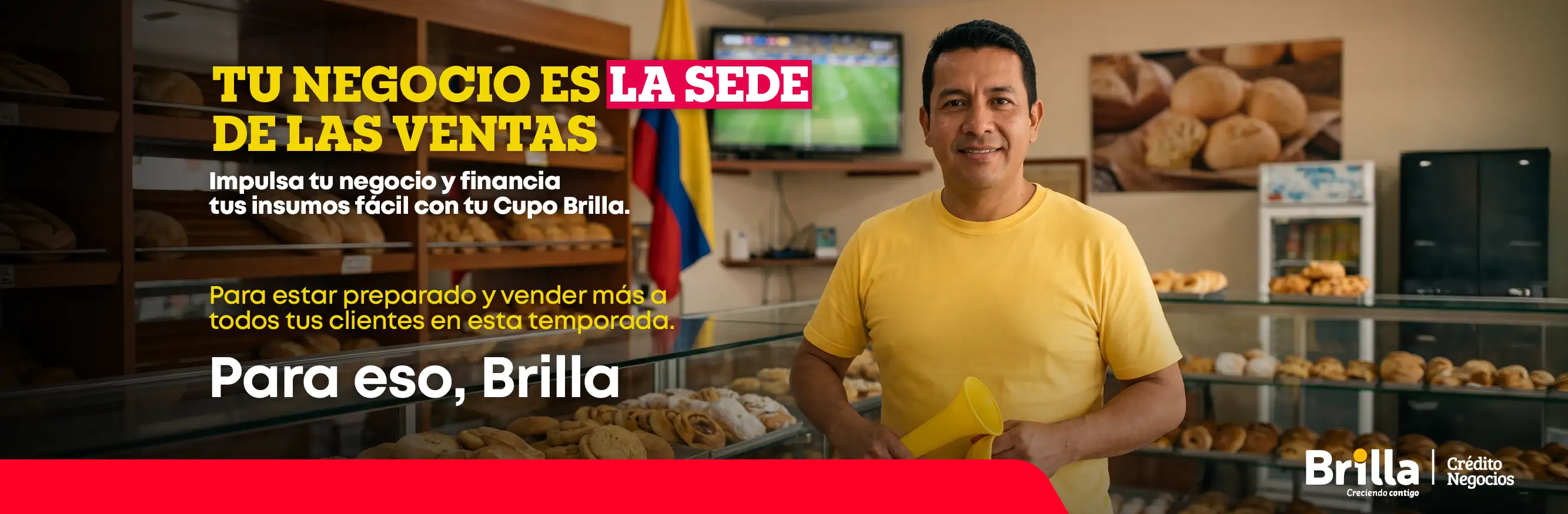 brilla negocios