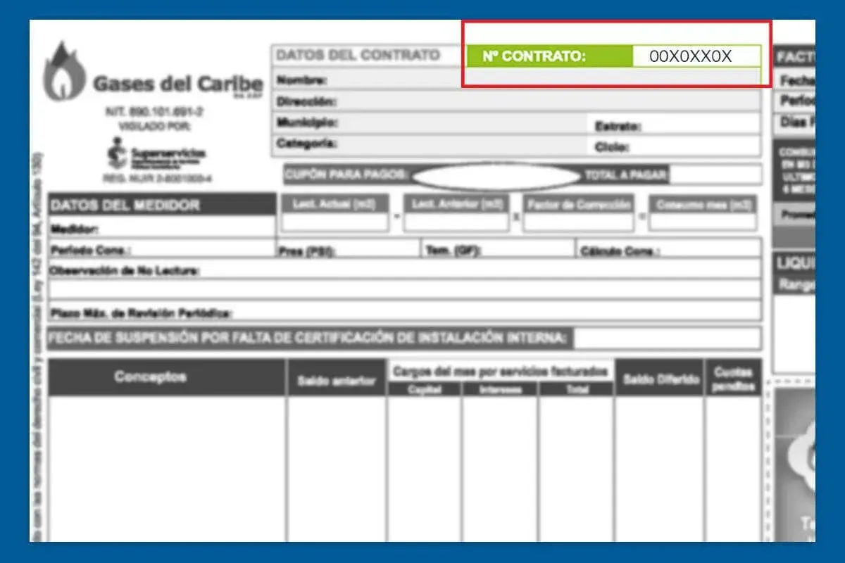 ¿Cómo puedo consultar mi factura en Gases del Caribe?