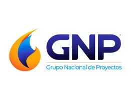 Material de construcción a crédito GNP