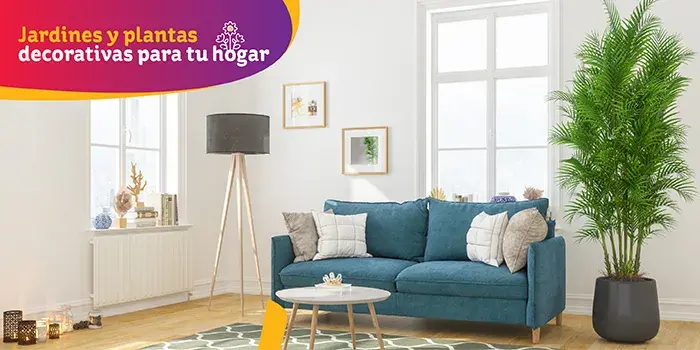 Plantas decorativas para tu hogar